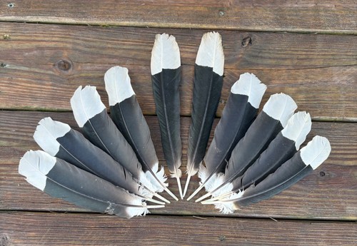 Black white oriental - black,